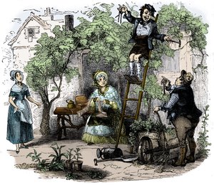 チャールズ・ディケンズの「The Old Curiosity Shop」。 作： Hablot Knight Browne