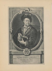 自然主義者、植物学者、地理学者のヨハン・ゲオルグ・グメリンの肖像、1709-1755年、18世紀半ば。 作： Haid