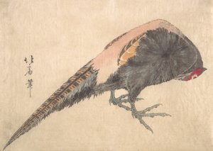 鳥、1830年代。 作： Hakusanjin Hokui
