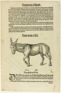 挿絵：『ティエルブッフ』、「16世紀の書物からの木版画」第42版より 作： Hans Asper