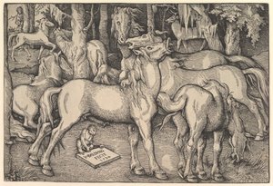 7頭の馬のグループ、1534年。 作： Hans Baldung