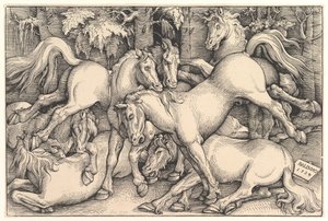 7頭の馬のグループ、1534年。 作： Hans Baldung