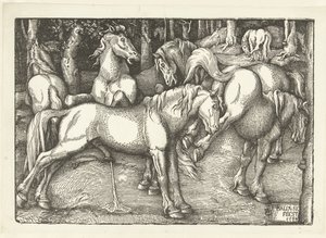 6頭の闘馬の群れ 作： Hans Baldung Grien