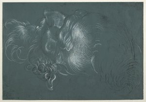 左上から見た使徒の頭部。 作： Hans Baldung Grien