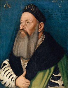アデルベルクIIIフォンベーレンフェルスの肖像画、1526年 作： Hans Baldung Grien