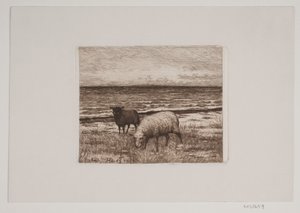 浜辺の羊 作： Hans Christian Gether Caspersen