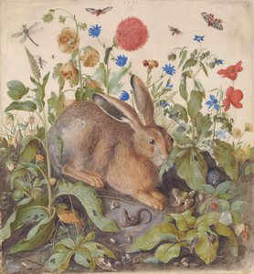植物の中のウサギ 作： ハンス・ホフマン