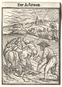 死のダンス：プラウマン。 作： Hans Holbein