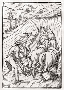1843年にバーゼルで出版された「Der Todten Tanz」から、Georg Scharffenbergによって彫刻された農夫または夫のために死が訪れる