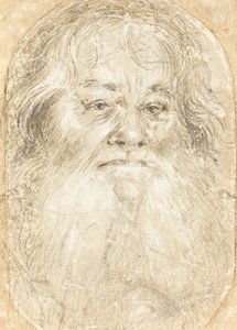 あごひげを生やした男の習作 [裏面] 作： Hans Holbein the Elder