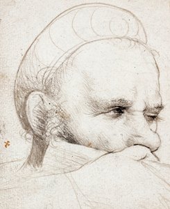 狙いを定めるクロスボウマンの頭 作： Hans Holbein the Elder