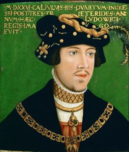 ハンガリー王ルイ2世の肖像（1506年-1526年）