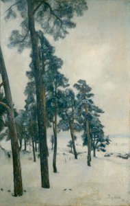 ボグスタッド湖から 作： Hans Olaf Heyerdahl