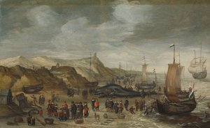 1614 年 12 月 28 日、ノールトワイクの浜辺に打ち上げられたマッコウクジラ
