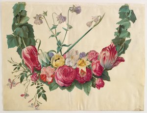 花つる 作： Hans Simon Holtzbecker