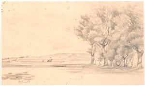 耕された畑のある風景。 すなわち 高い木々 作： Hans Smidth