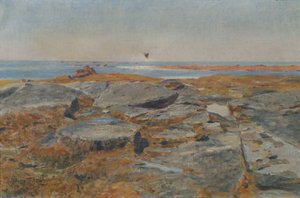 コンカルノーの研究 作： Hans Tichy