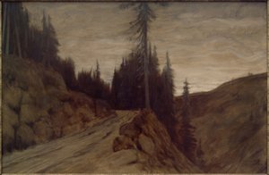 夕暮れ時のスプルース 作： Hans am Ende