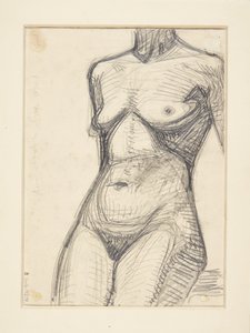 女性モデルの胴体
