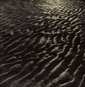 リブ状の海砂、コールリッジ (白黒写真) 作： Harold Burdekin