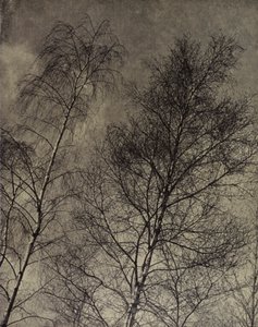 彼らの魅力は液体の空に沿って、ロバート・ブリッジズ（白黒写真） 作： Harold Burdekin
