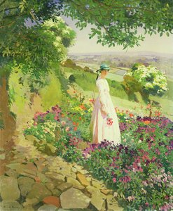 夏 作： Harold Harvey