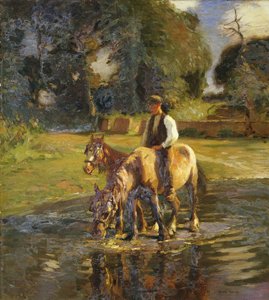 水まき場所 作： Harold Harvey