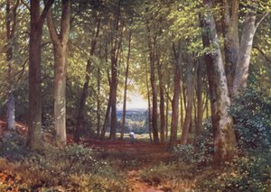 ディア・リープ・ウッド、ウォットン（カラーリトグラフ） 作： Harold Sutton Palmer