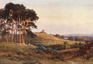 ライゲイト・ヒース、イブニング（カラーリトグラフ） 作： Harold Sutton Palmer