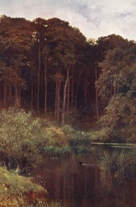 ウッドランド・デプス、ウォットン（カラーリトグラフ） 作： Harold Sutton Palmer