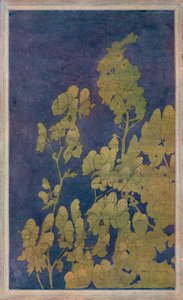 モンクスフード、1922年 作： Harriet Sibyl Meugen