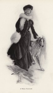 冬にラフコリー犬を散歩させる女性（リトグラフ 作： Harrison Fisher