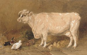 納屋でアヒルと牛 作： Harrison William Weir
