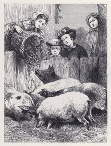 豚の餌やり（版画 作： Harrison William Weir