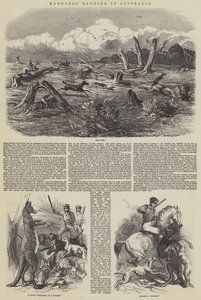 オーストラリアでのカンガルー狩り 作： Harrison William Weir