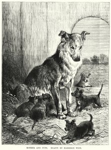 母と子（彫刻 作： Harrison William Weir