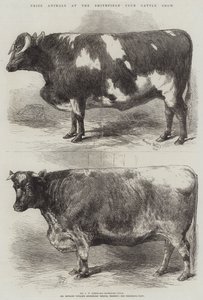 スミスフィールドクラブキャトルショーの動物賞 作： Harrison William Weir