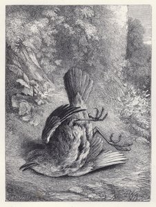 落下して呆然とするロビン（彫刻 作： Harrison William Weir