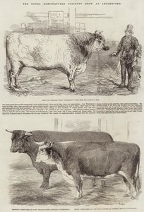 ロイヤル農業協会のショー、チェルムズフォード 作： Harrison William Weir