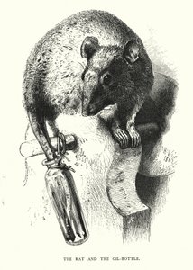 ネズミとオイルボトル（彫刻 作： Harrison William Weir