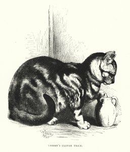 トミーの巧妙なトリック（刻印 作： Harrison William Weir