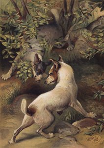 水を飲むためにプールにたどり着こうとしている 2 匹の犬 (クロモリソ) 作： Harrison William Weir