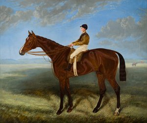 Salpinctes-a Race Horse、c.1814-82（キャンバスに油彩） 作： Harry (after) Hall