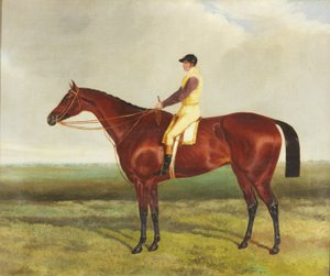 蜂の羽（帆布に油彩） 作： Harry (attr. to) Hall
