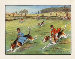 The Fox