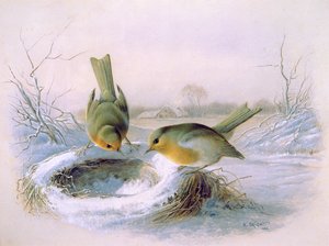 去年の巣、1886（トイレ） 作： Harry Bright