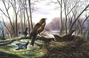 春の到来を告げるもの 作： Harry Bright