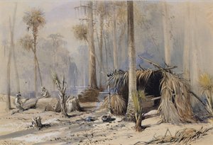 サイプレス・シングル・ヤード、フロリダ州オクラワハ川、1870年。 作： Harry Fenn