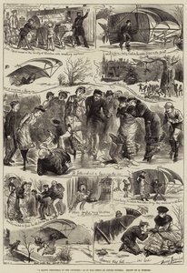 リトルトップセルが過ごした田舎のハッピークリスマス 作： Harry Furniss
