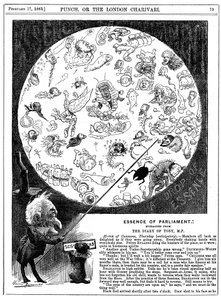 議会の本質、1883 作： Harry Furniss